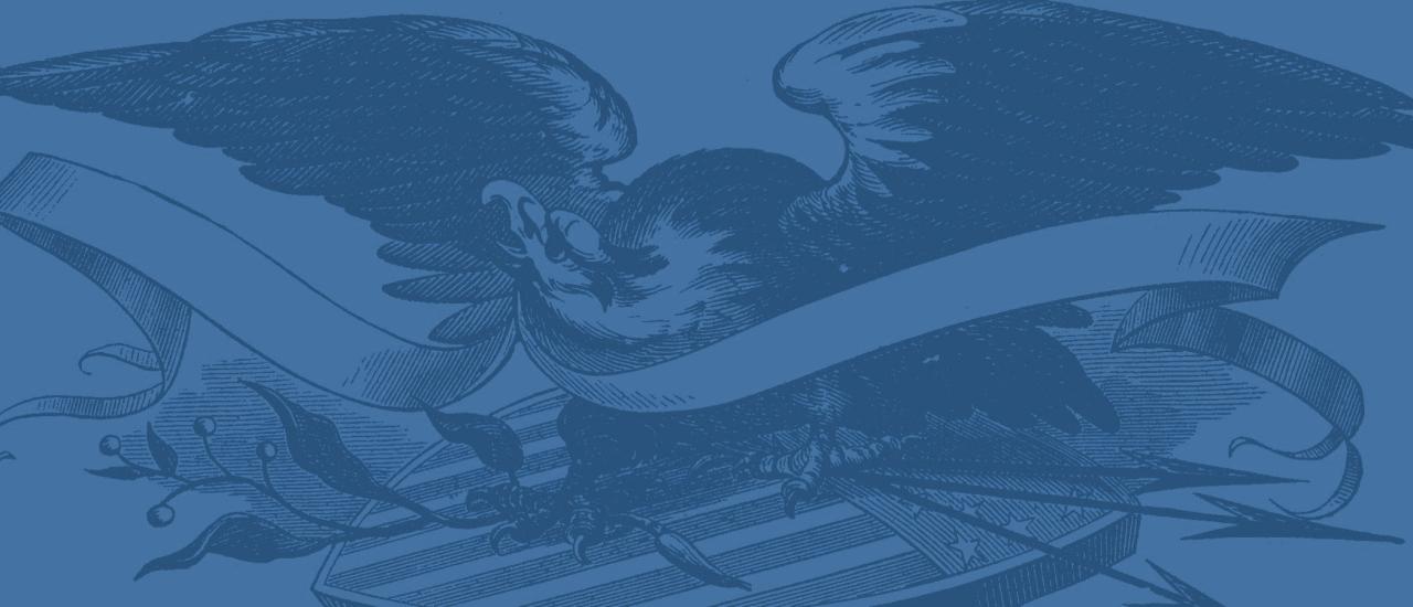 This is a sketch of a bald eagle spreading its wings.