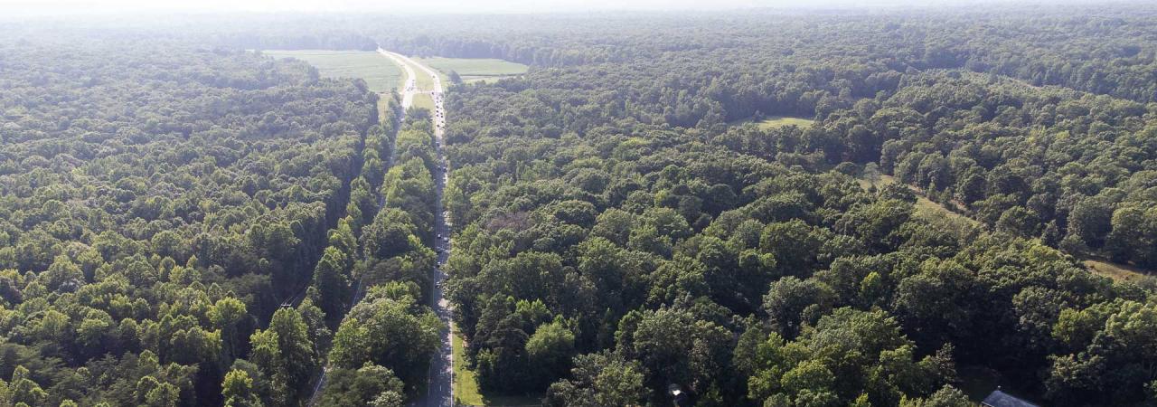 Chancellorsville Battlefield, Fredericksburg & Spotsylvania National Military Park, Va.